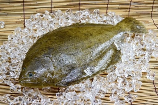 Flounder - Kaloriegehalt a chemesch Zesummesetzung