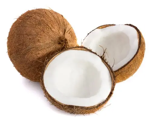 Coconut &#8211; description of the nut. Health benefits and Harms