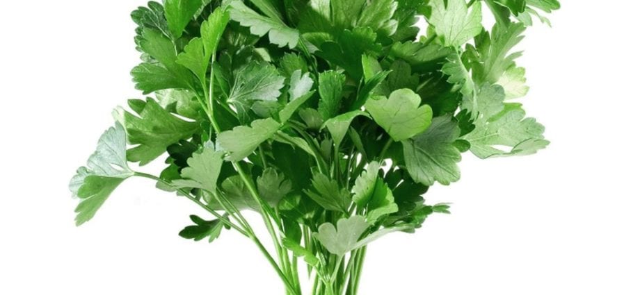 Parsley (greens) - sulud sa kaloriya ug komposisyon sa kemikal