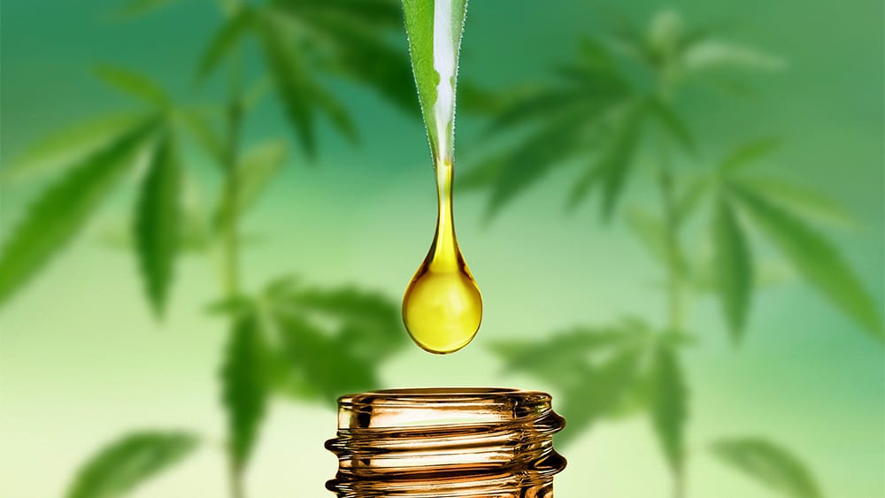 Hemp oil &#8211; description of the oil. Health benefits and harms