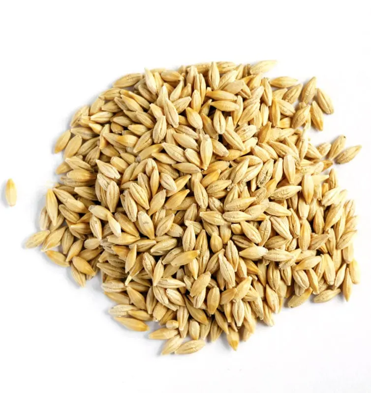 Barley (grain) &#8211; calorie content and chemical composition