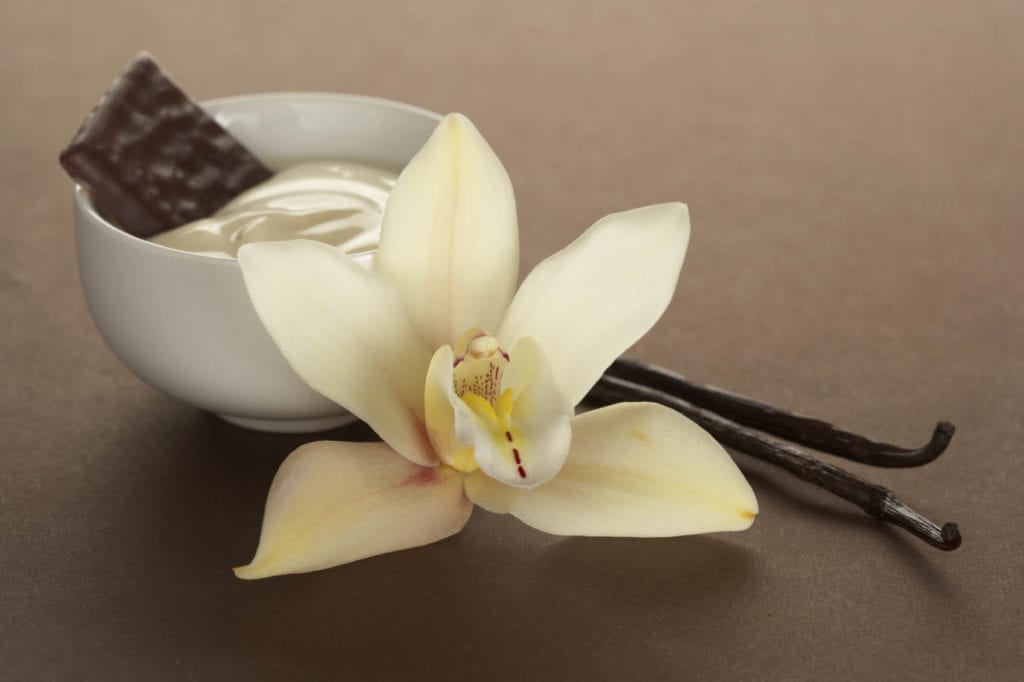 Vanilla &#8211; description of the spice. Health benefits and harms