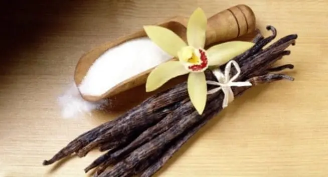 Vanilla &#8211; description of the spice. Health benefits and harms