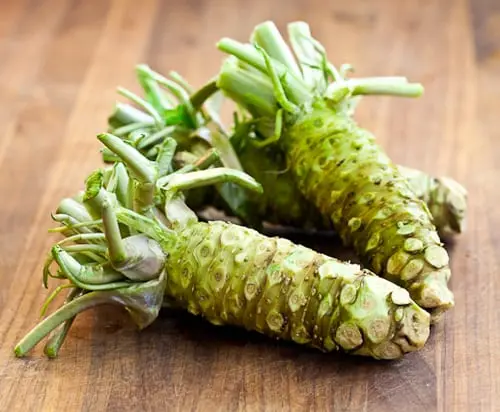 Wasabi &#8211; description of the spice. Health benefits and harms