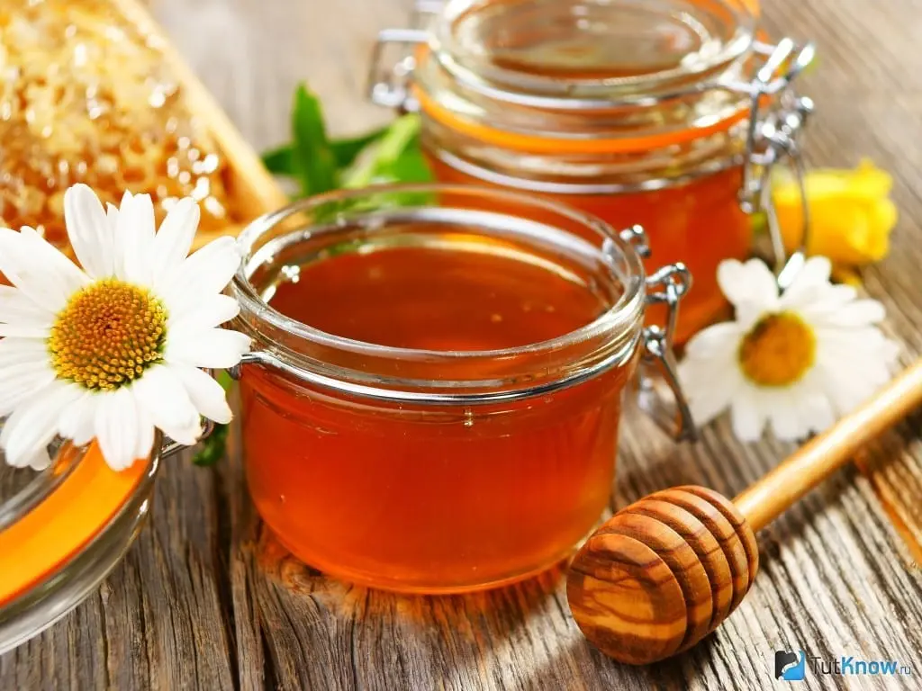 Honey &#8211; description of a food product. Health benefits and harms