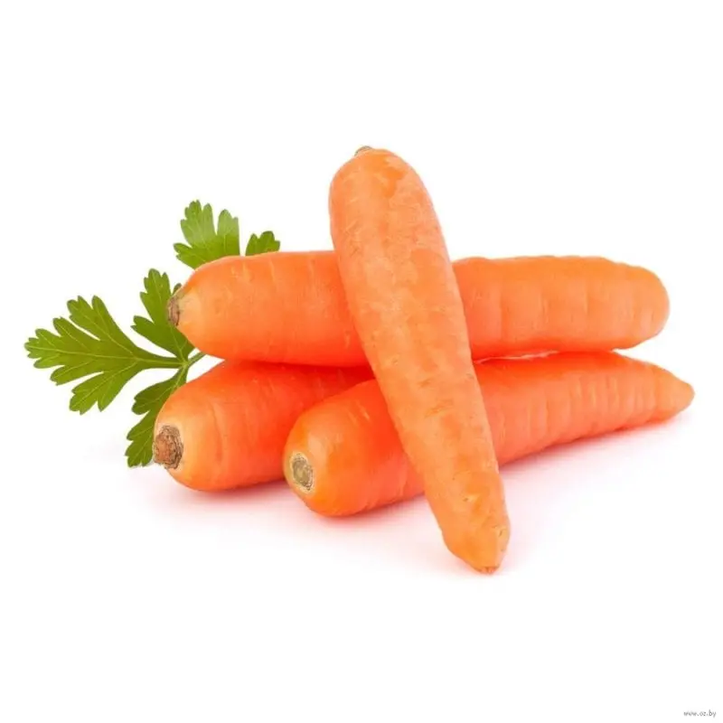 Carrots