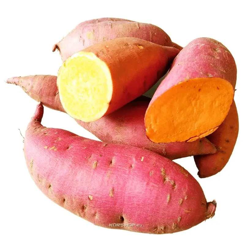 Sweet potato. What is sweet potato and how to cook it