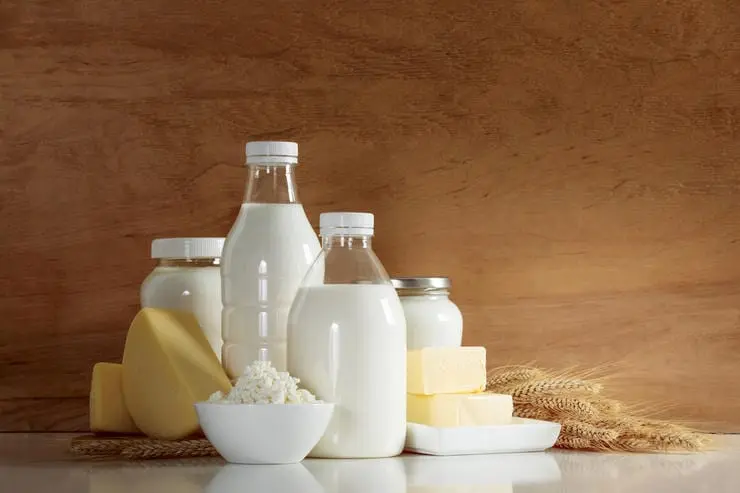 3 most useful dairy products