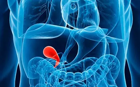 Gastrointestinal tract under the gun