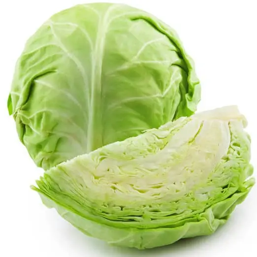 White cabbage