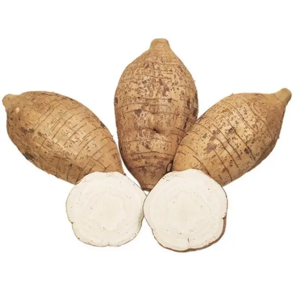 Arrowroot