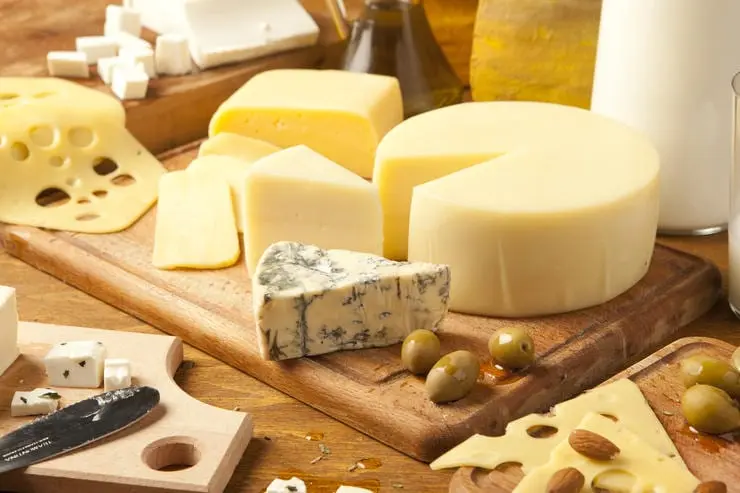 Interesting facts about cheese