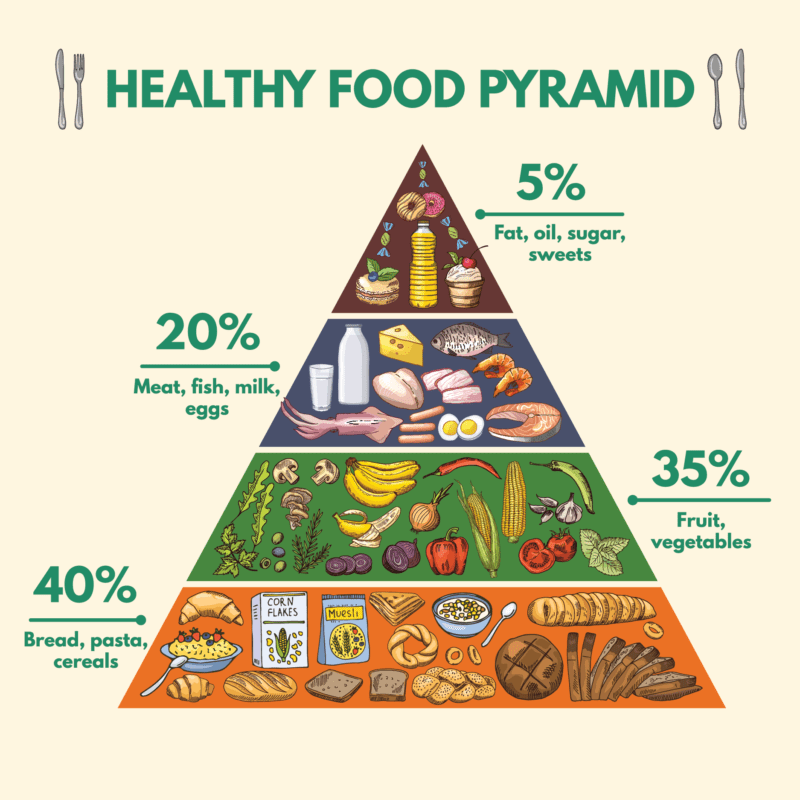 infographic-chart-illustration-of-a-food-pyramid-for-vegetarian-shows