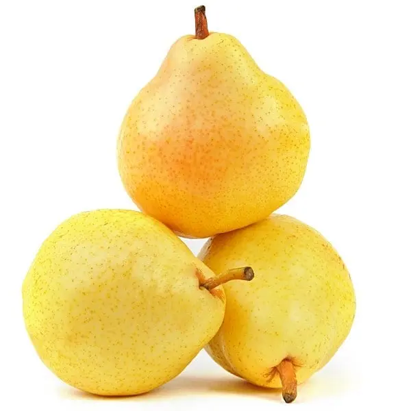 Pear