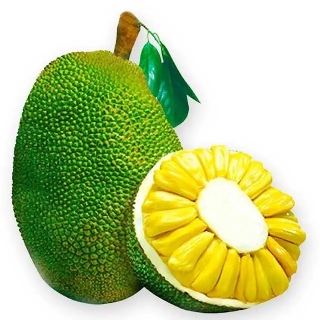 Jackfruit