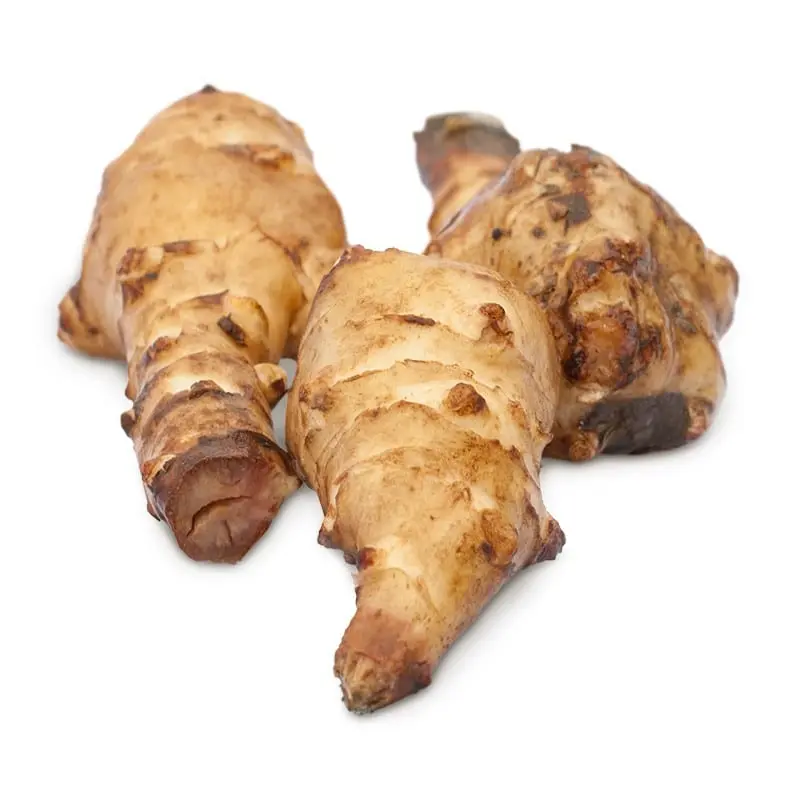 Jerusalem artichoke