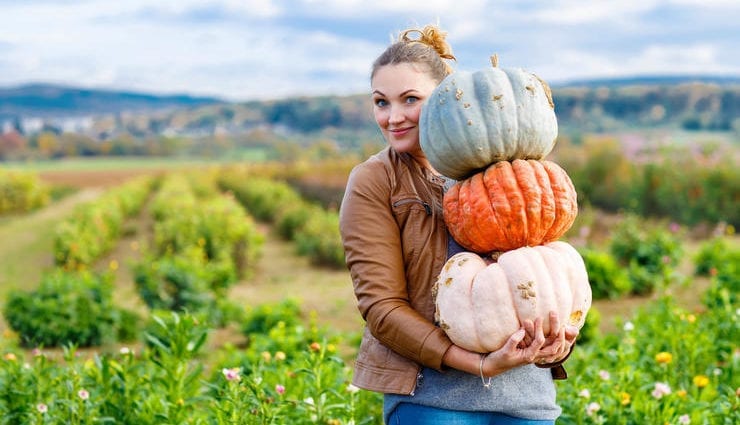 How to lose 1.5 kg a day at the Pumpkin diet