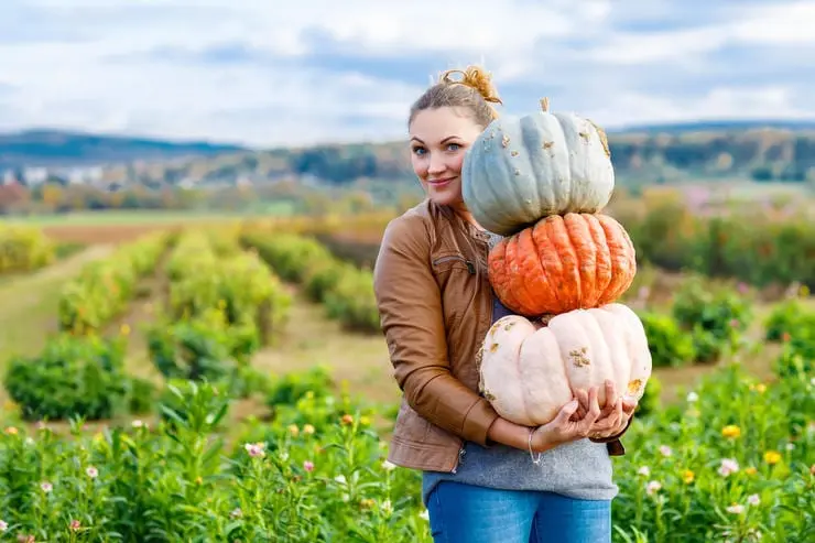 How to lose 1.5 kg a day at the Pumpkin diet