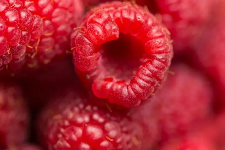 Raspberry effect on human health