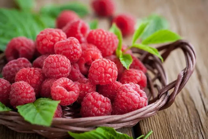 Raspberry effect on human health