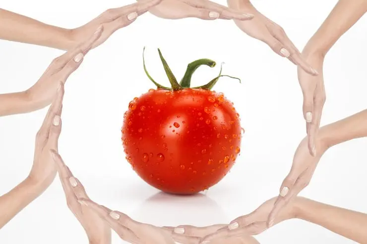 Impact of tomatoes on the human body