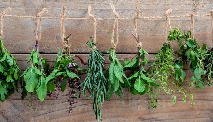 What herbs are useful both in cooking and for health