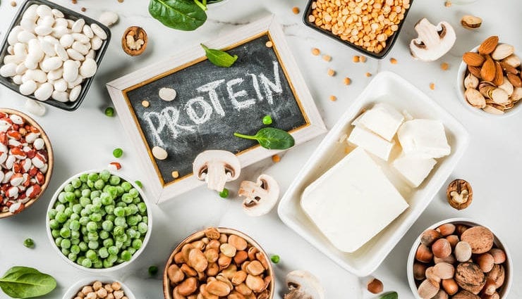 دارندگان مواد غذایی در محتوای پروتئین