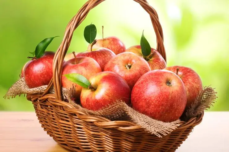 Why apples do not sink in water and 12 amazing facts about apples