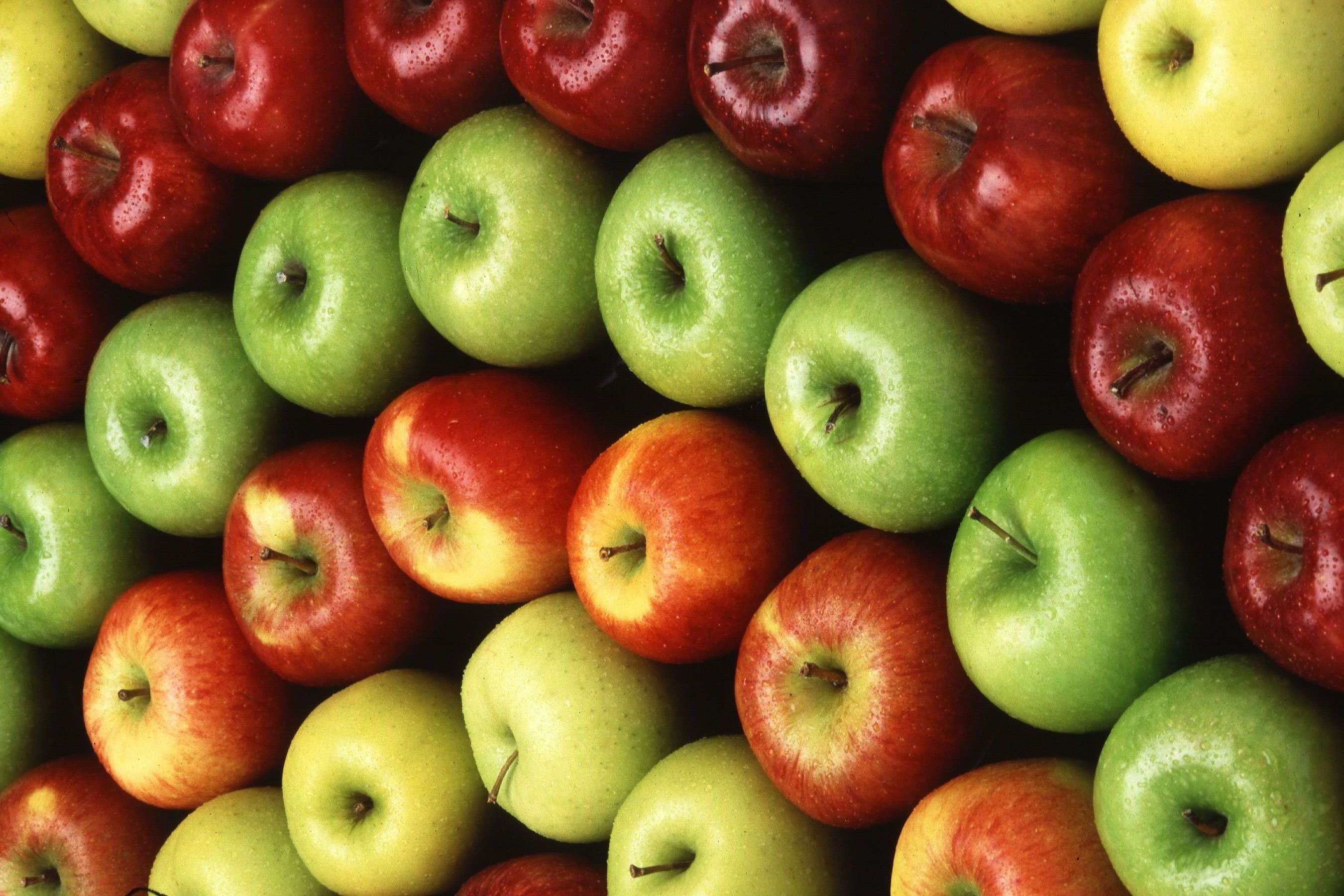 Why apples do not sink in water and 12 amazing facts about apples