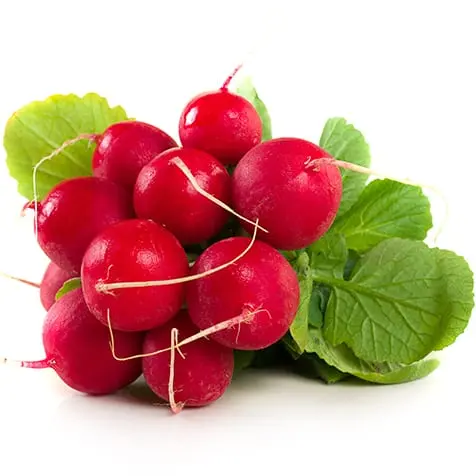 Radish