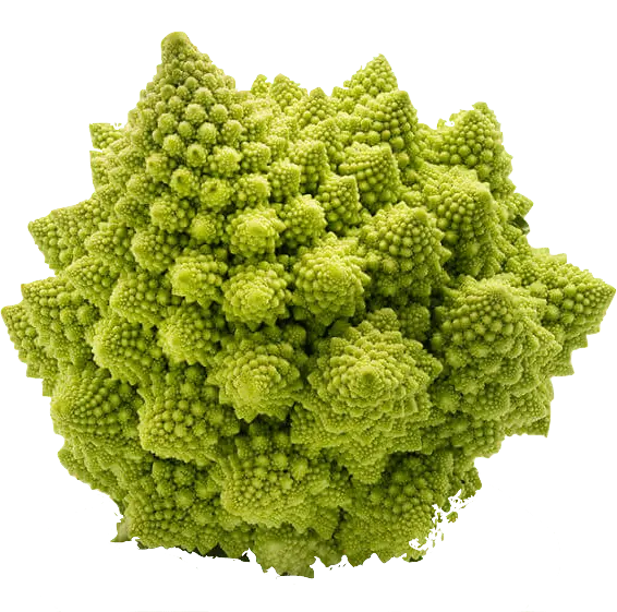 Romanesco broccoli