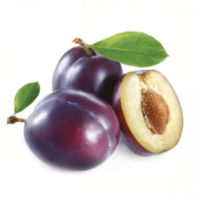 Plum