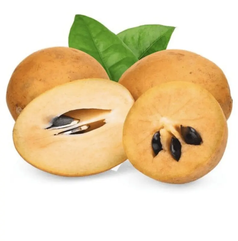 Sapodilla