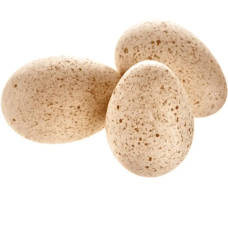 Guinea fowl eggs