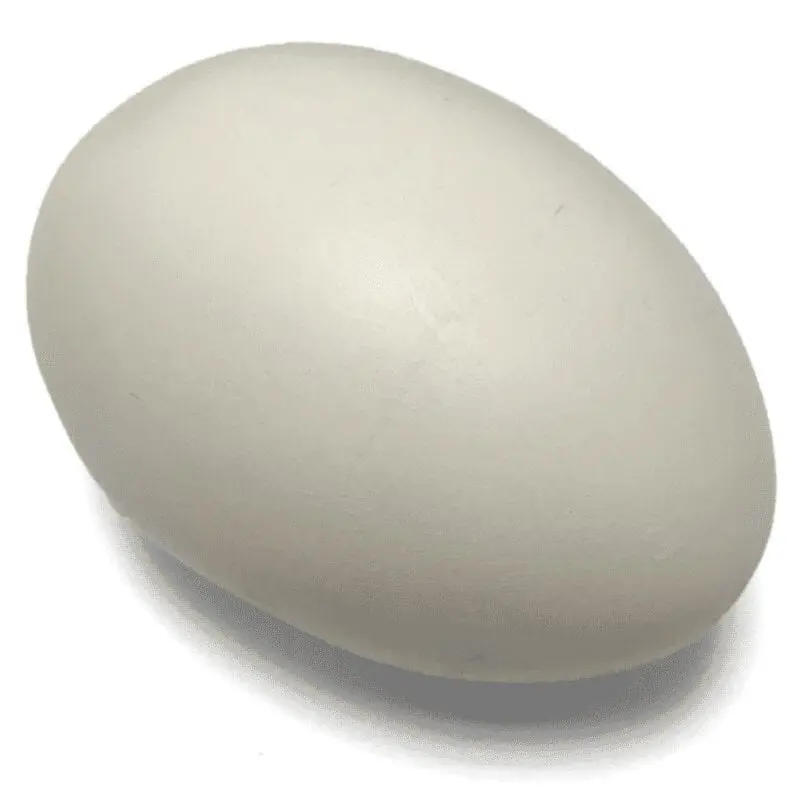 Goose Eggs