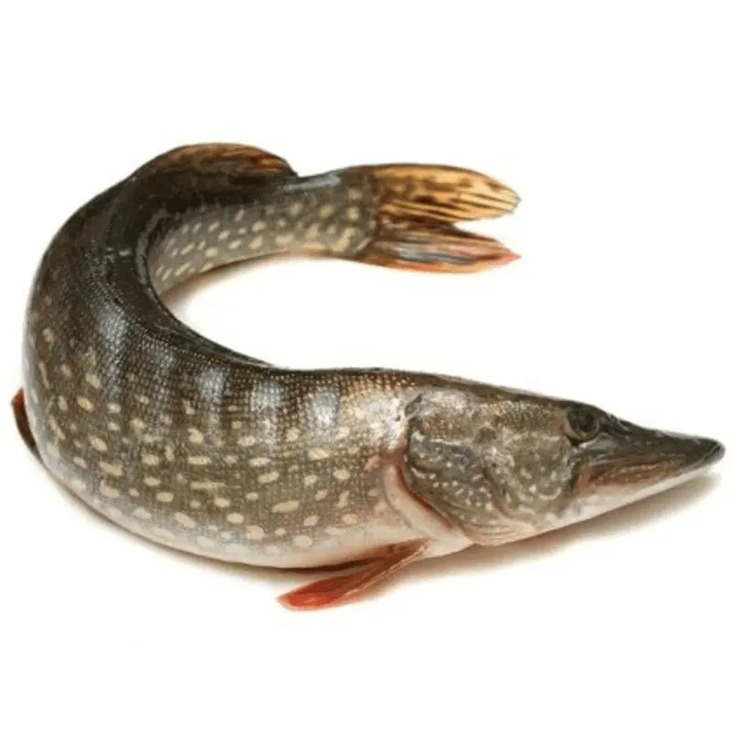 Pike