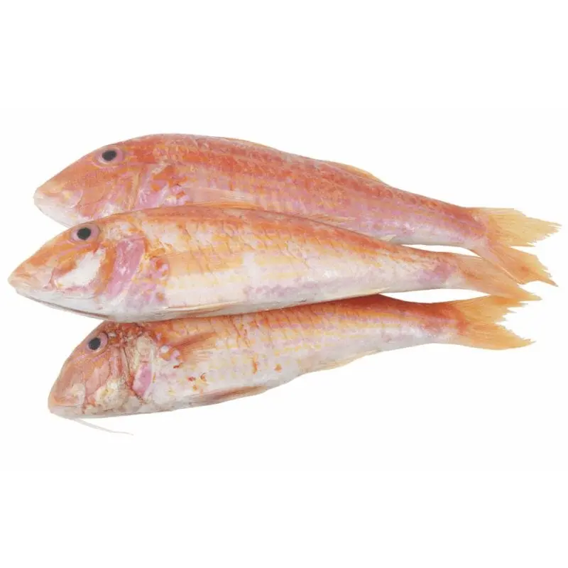 Red mullet