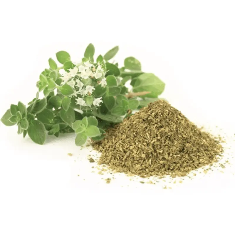 Oregano