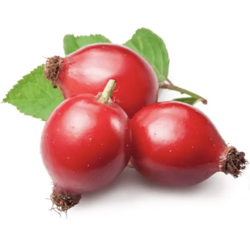 Rosehip