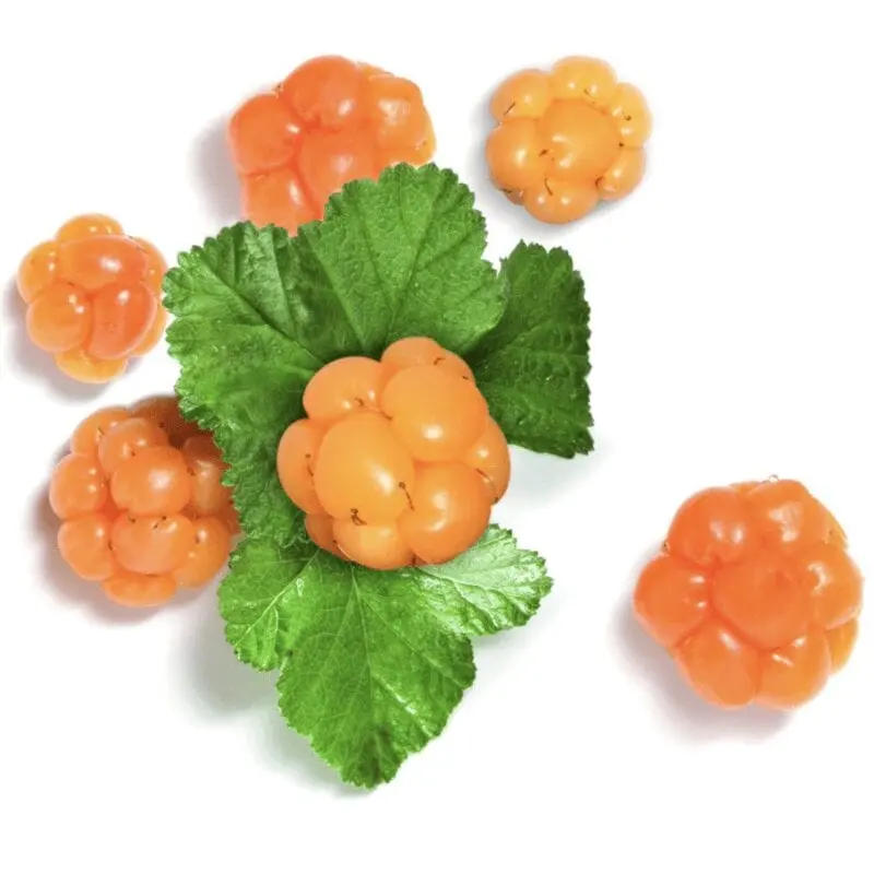 Cloudberry