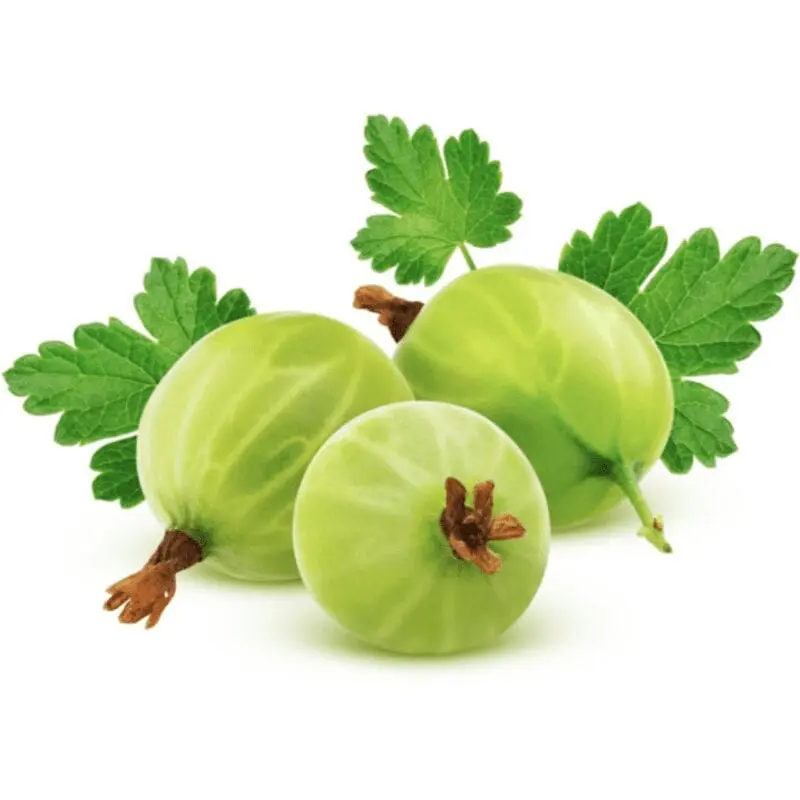 Gooseberry