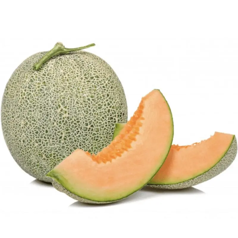 Melon