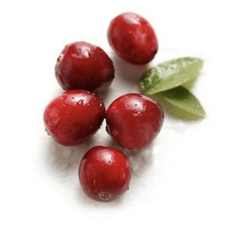 Lingonberry