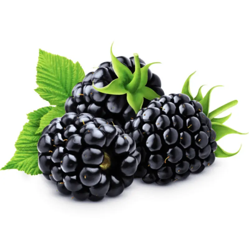 Blackberries