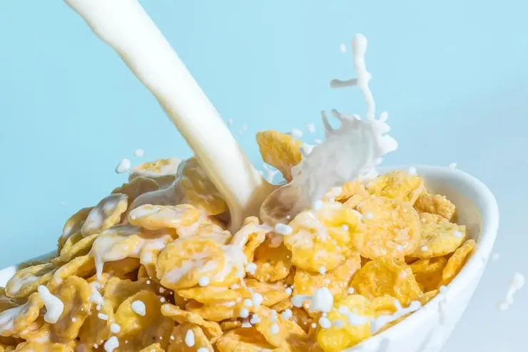 Religion, sexual abstinence, and vegetarianism: how appeared corn flakes