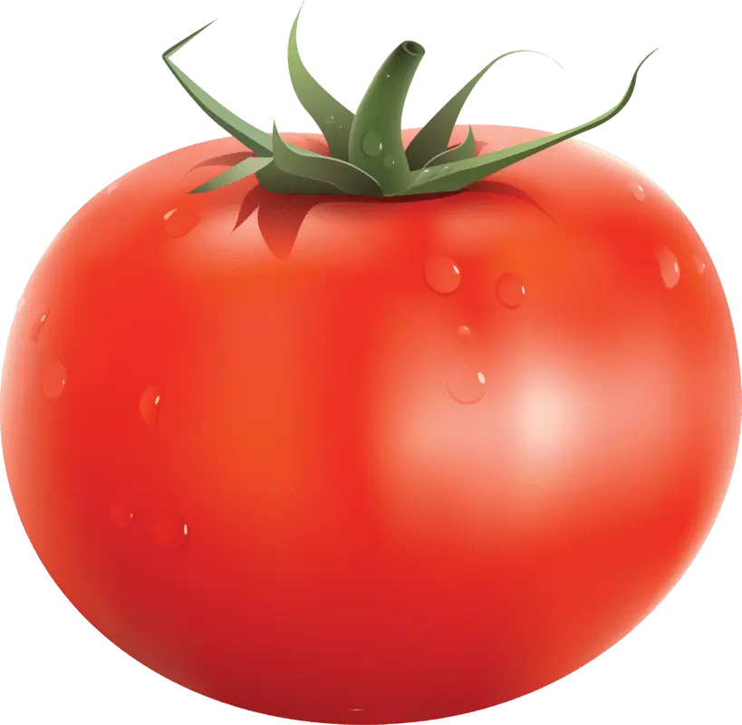 Tomato