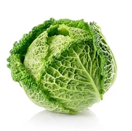 Savoy cabbage