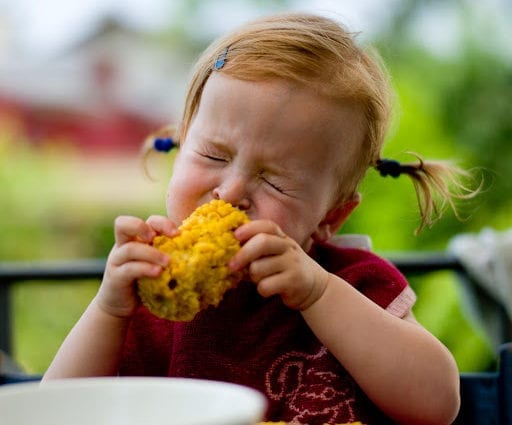 Кукуруза в початках: польза и опасность летнего питания