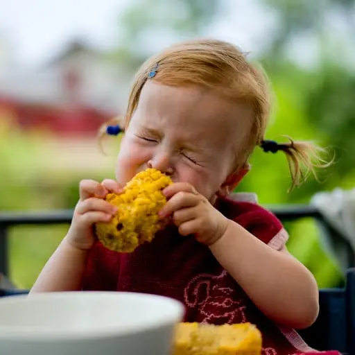 Corn on the cob: use and the risk of summer food