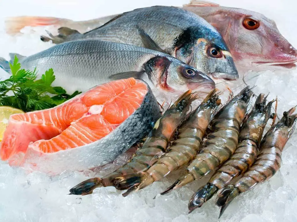 Fish calories and nutrients